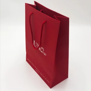 A4 Branded Paper Bags