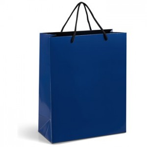Dazzle Midi Gift Bag (25pcs)